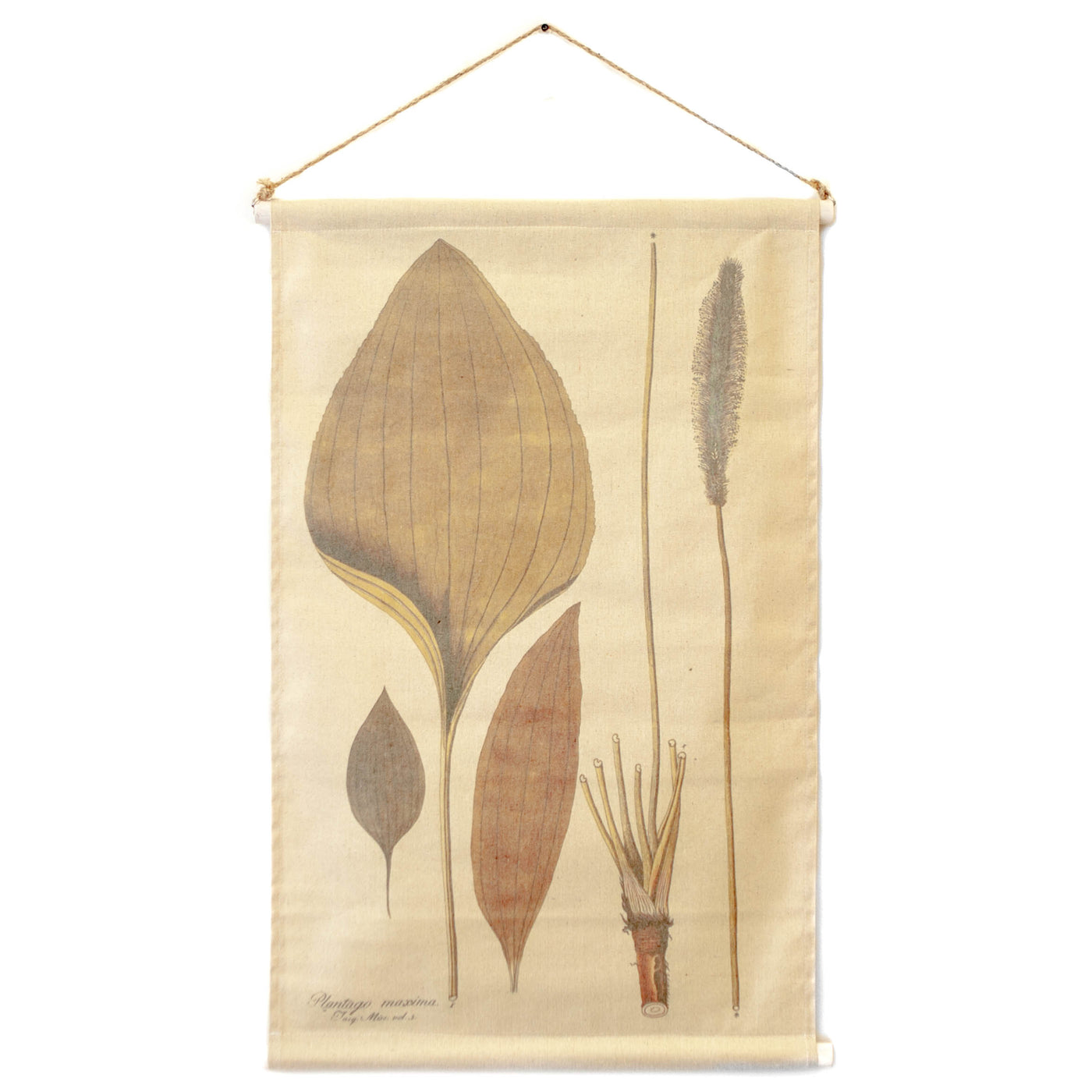 Linen Print Botanical Chart