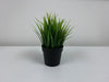 Small Grass w/ Black Pot