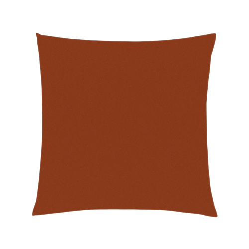 Pillow - 22x22 Paprika Velvet