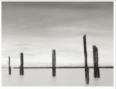 Art - Cluster Of Posts I Medium 40" X 30" CLEARED