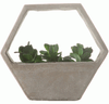 Planter - Cement Hexagon