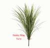 Plant - Large